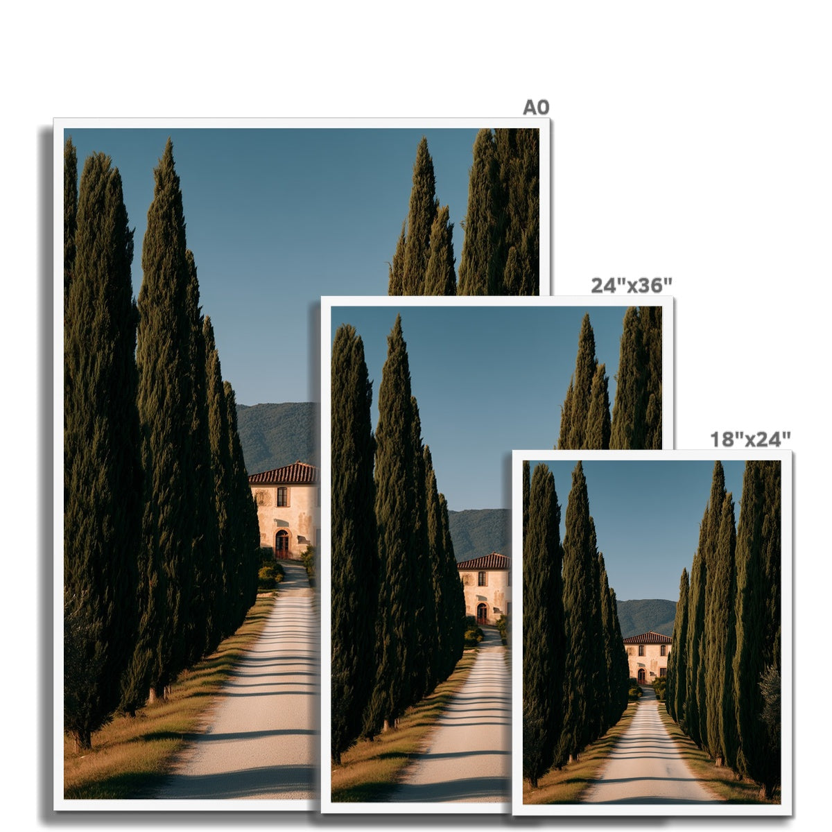 Jen Fargeot Creative | Mediterranean | Wall Art | A Tuscany Road | Framed Print