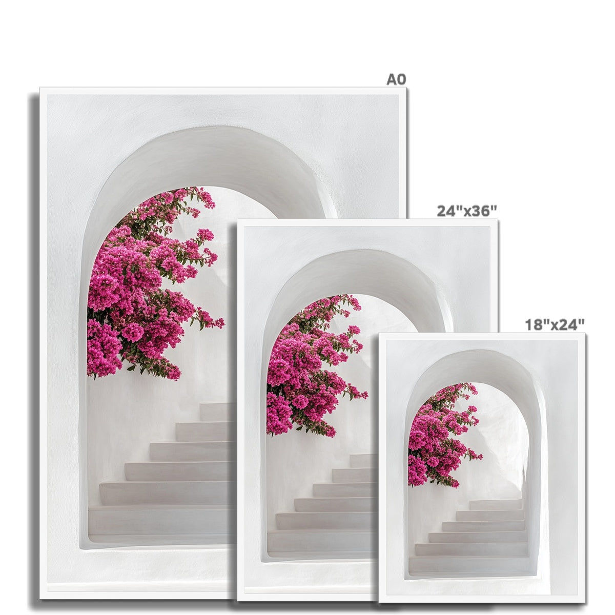 Jen Fargeot Creative | Architecture | Wall Art | Blossoms & Arch | Framed Print