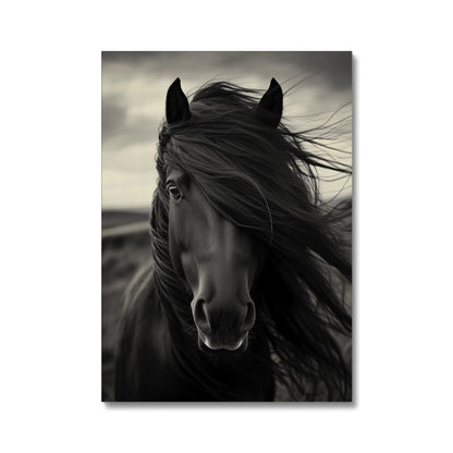 Jen Fargeot Creative | Animal | Wall Art | Horse in the Wind | Canvas