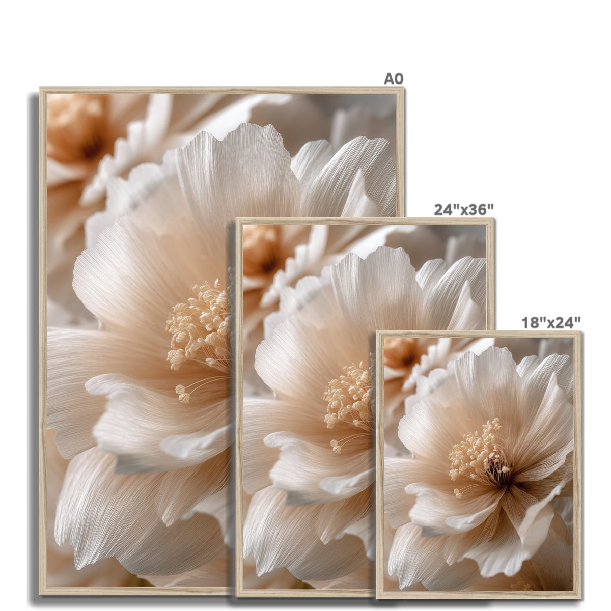 Jen Fargeot Creative | Botanical | Wall Art | Silk Petals | Framed Print