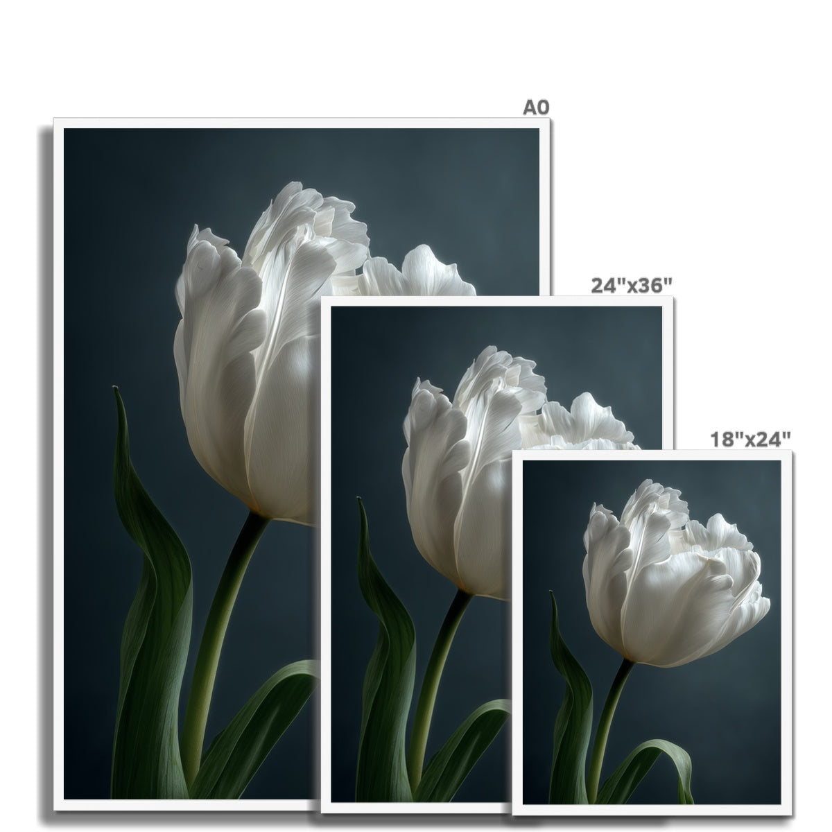 Jen Fargeot Creative | Botanical | Wall Art | Feather Tulip | Framed Print