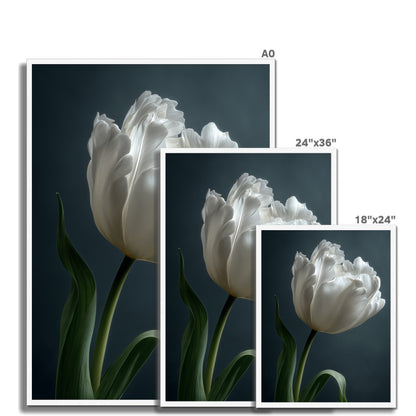 Jen Fargeot Creative | Botanical | Wall Art | Feather Tulip | Framed Print