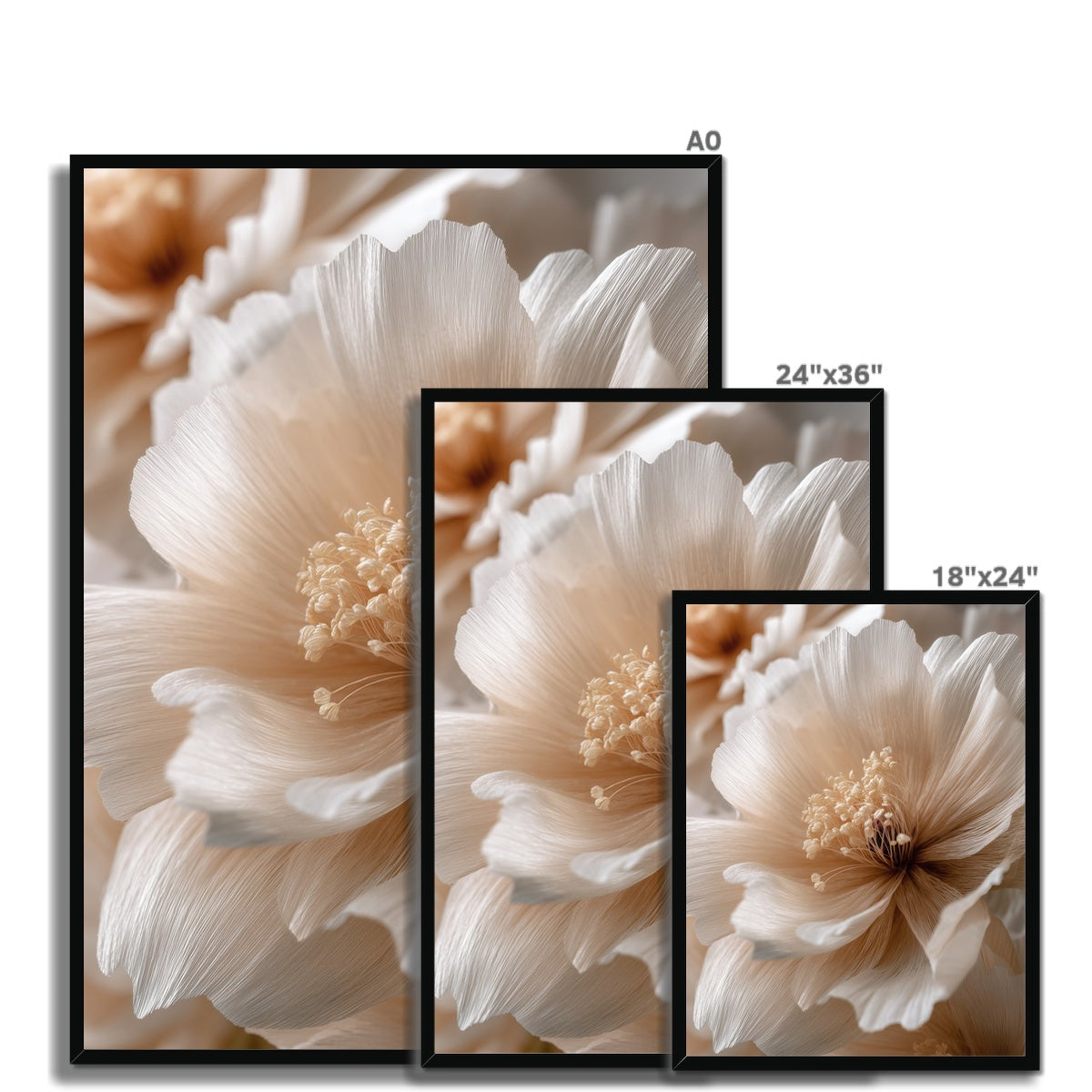 Jen Fargeot Creative | Botanical | Wall Art | Silk Petals | Framed Print