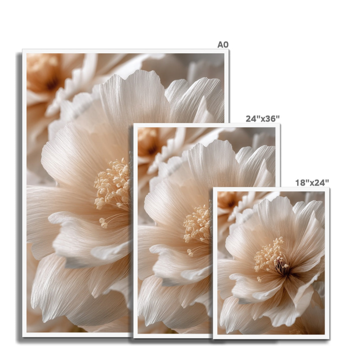 Jen Fargeot Creative | Botanical | Wall Art | Silk Petals | Framed Print