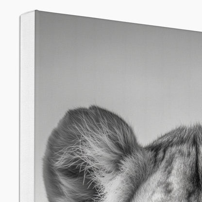 Jen Fargeot Creative | Animal | Wall Art | The Lioness’ Gaze | Canvas