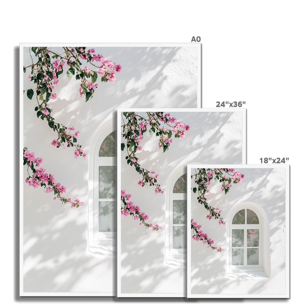 Jen Fargeot Creative | Architecture | Wall Art | Blossoms at the Window | Framed Print