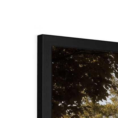Jen Fargeot Creative | Architecture | Wall Art | The Mansion's Poolside | Framed Print