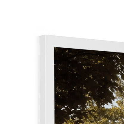Jen Fargeot Creative | Architecture | Wall Art | The Mansion's Poolside | Framed Print