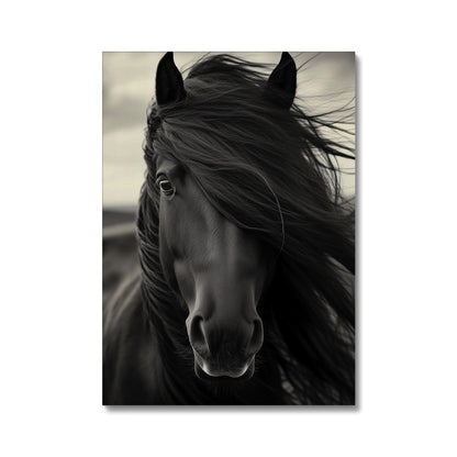 Jen Fargeot Creative | Animal | Wall Art | Horse in the Wind | Canvas