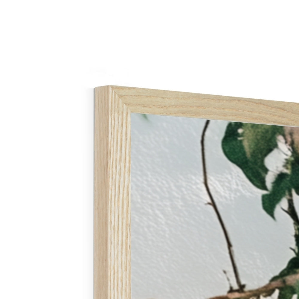 Jen Fargeot Creative | Architecture | Wall Art | Blossoms at the Window | Framed Print
