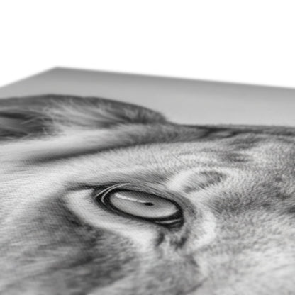 Jen Fargeot Creative | Animal | Wall Art | The Lioness’ Gaze | Canvas