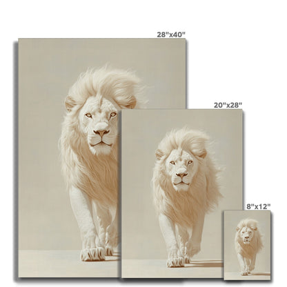 Jen Fargeot Creative | Animal | Wall Art | Majestic White Lion | Canvas