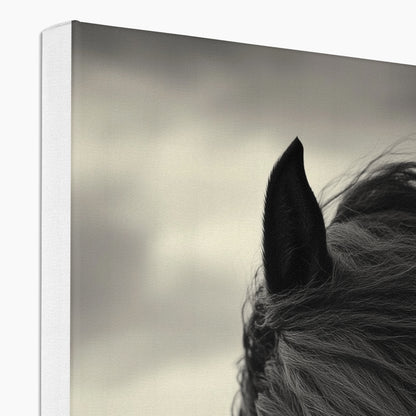 Jen Fargeot Creative | Animal | Wall Art | Horse in the Wind | Canvas