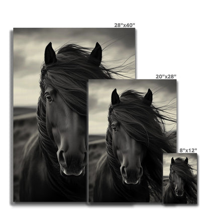 Jen Fargeot Creative | Animal | Wall Art | Horse in the Wind | Canvas