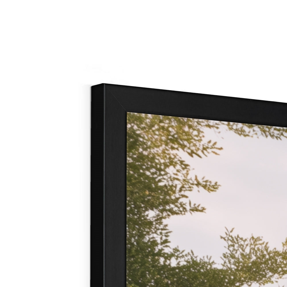 Jen Fargeot Creative | Architecture | Wall Art | The Mansion's Poolside (2) | Framed Print