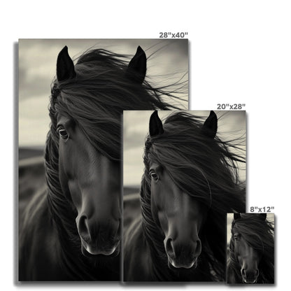 Jen Fargeot Creative | Animal | Wall Art | Horse in the Wind | Canvas
