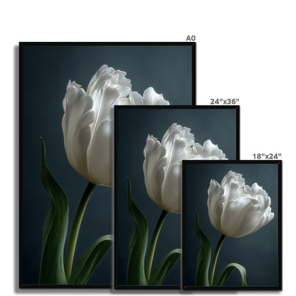 Jen Fargeot Creative | Botanical | Wall Art | Feather Tulip | Framed Print