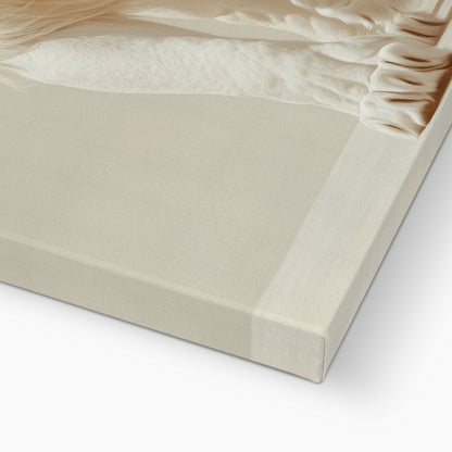 Jen Fargeot Creative | Animal | Wall Art | Majestic White Lion | Canvas