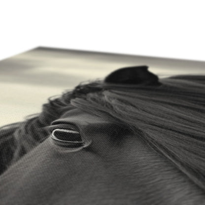 Jen Fargeot Creative | Animal | Wall Art | Horse in the Wind | Canvas