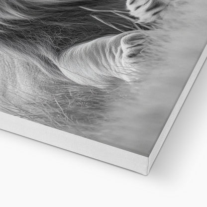 Animal | Wall Art | Majestic Lion of the Savanna | Canvas