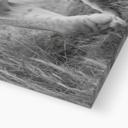 Jen Fargeot Creative | Animal | Wall Art | Grace In The Wild | Canvas