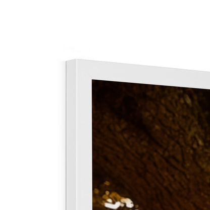 Jen Fargeot Creative | Mediterranean | Wall Art | A Slice of Tuscany | Framed Print
