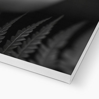 Jen Fargeot Creative | Black & White | Wall Art | Girl Behind Fern Leaves | Canvas