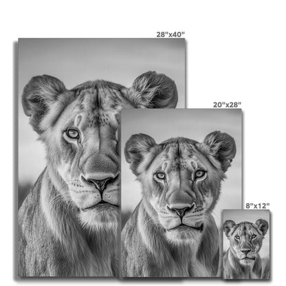 Jen Fargeot Creative | Animal | Wall Art | The Lioness’ Gaze | Canvas