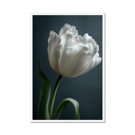 Jen Fargeot Creative | Botanical | Wall Art | Feather Tulip | Framed Print