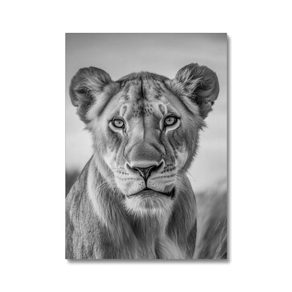 Jen Fargeot Creative | Animal | Wall Art | The Lioness’ Gaze | Canvas